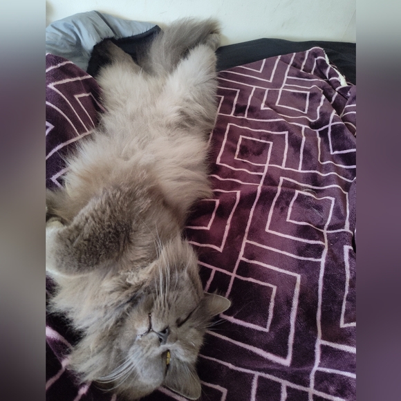 🥳 - Picture 3 of 3